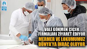 “MERMER VE LOKUMUMUZ DÜNYA’YA İHRAÇ OLUYOR”