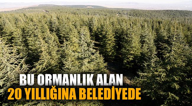 ORMANLIK ALAN 20 YIL BELEDİYEDE