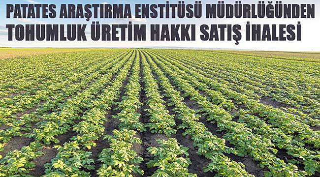 PATATES TOHUMU ÜRETİM HAKKI SATILACAK
