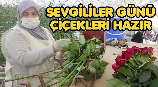 SEVGİLİLER GÜNÜ ÇİÇEKLERİ HAZIR