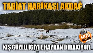 Tabiat harikası Akdağ'daki kış güzelliği hayran bırakıyor