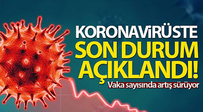 VAKA SAYILARINDA ARTIŞ SÜRÜYOR