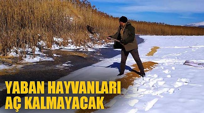 YABAN HAYVANLARI AÇ KALMAYACAK
