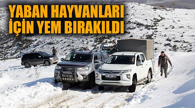 YABAN HAYVANLARI İÇİN YEM BIRAKILDI