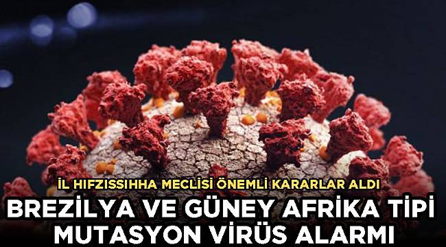 BREZİLYA VE GÜNEY AFRİKA TİPİ MUTASYON VİRÜS ALARMI