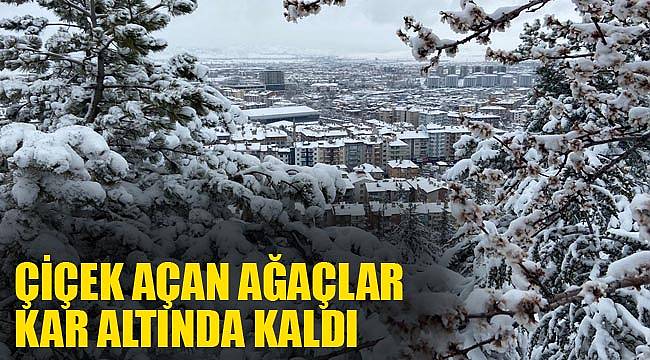 ÇİÇEK AÇAN AĞAÇLAR KAR ALTINDA KALDI