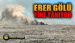 Eber Gölü’nde yangın çıktı 