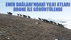 EMİR DAĞLARI'NDAKİ YILKI ATLARI DRONE İLE GÖRÜNTÜLENDİ