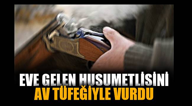 EVİNE GELEN HUSUMETLİSİNİ VURDU