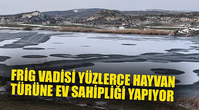 Frig Vadisi yüzlerce hayvan türüne ev sahipliği yapıyor