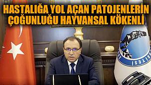 HASTALIĞA YOL AÇAN PATOJENLERİN ÇOĞUNLUĞU HAYVANSAL KÖKENLİ