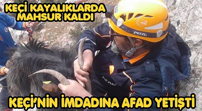 KAYALIKLARDA MAHSUR KALAN KEÇİNİN İMDADINA AFAD YETİŞTİ