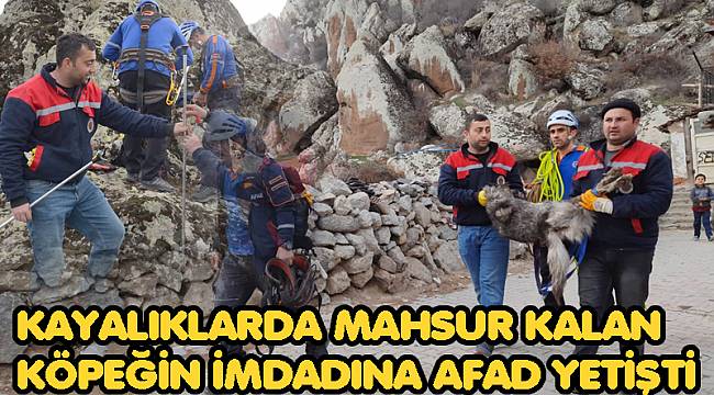 KAYALIKLARDA MAHSUR KALAN KÖPEĞİN İMDADINA AFAD YETİŞTİ
