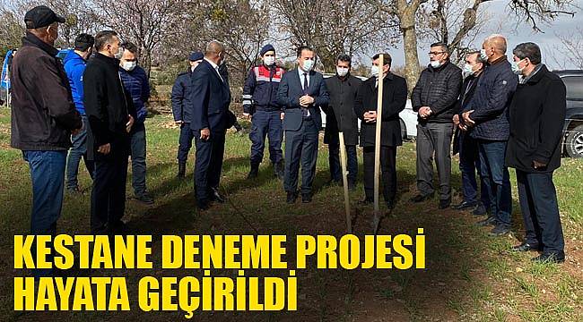 Kestane deneme projesi hayata geçirildi