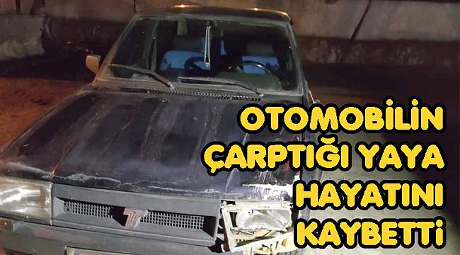OTOMOBİLİN ÇARPTIĞI YAYA HAYATINI KAYBETTİ