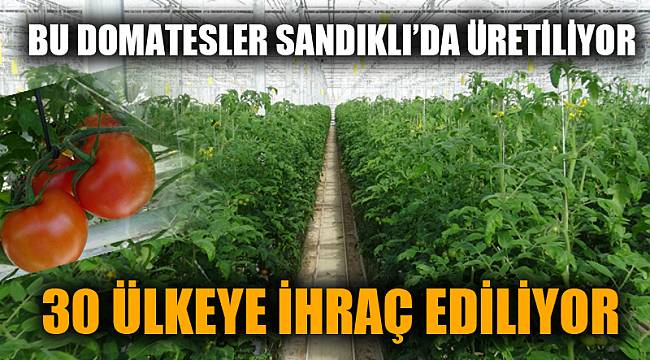 Sandıklı’dan 30 ülkeye ihraç ediliyor