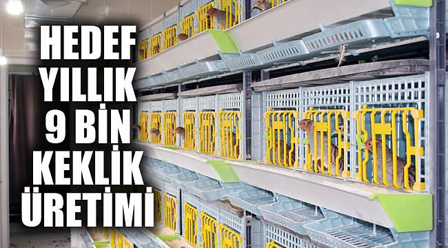 YILLIK 9 BİN KEKLİK ÜRETİMİ HEDEFLENİYOR