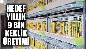 YILLIK 9 BİN KEKLİK ÜRETİMİ HEDEFLENİYOR