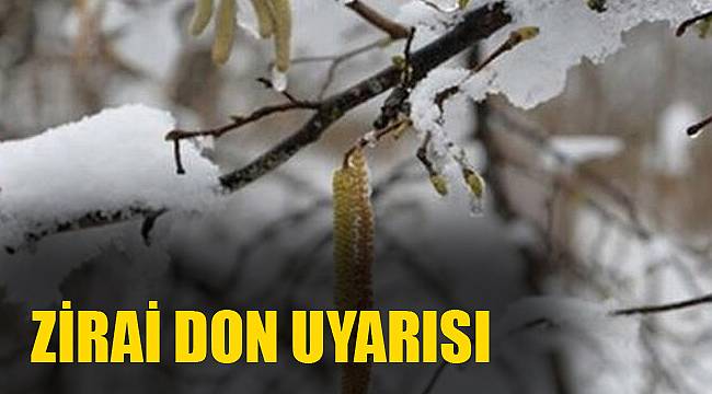 Zirai don uyarısı