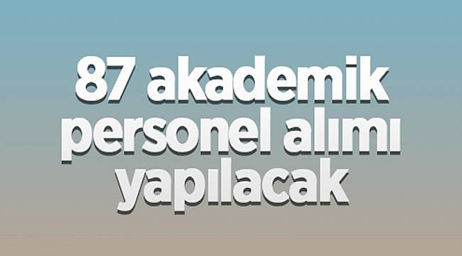 87 öğretim üyesi alınacak