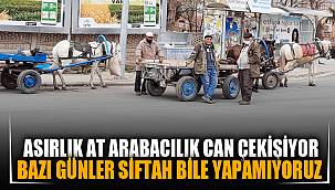 Asırlık at arabacılık can çekişiyor 