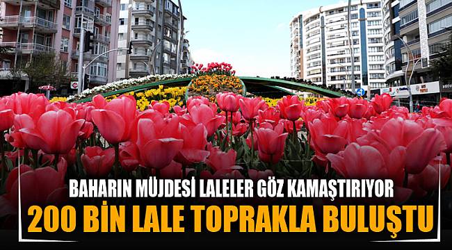 BAHARIN MÜJDESİ LALELER GÖZ KAMAŞTIRIYOR