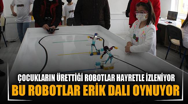 BU ROBOTLAR ERİK DALI OYNUYOR