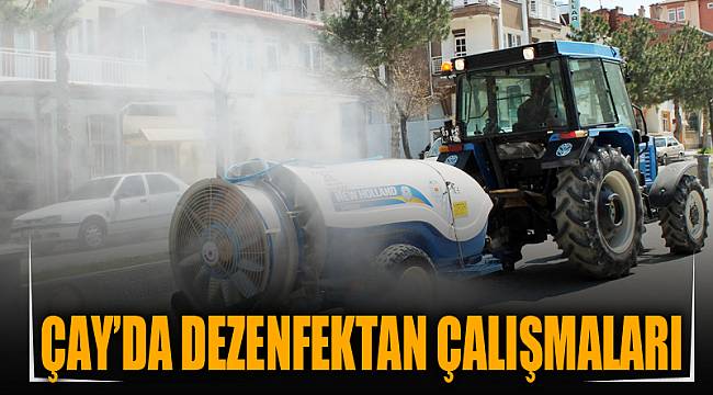 Çay’da dezenfekte çalışmaları devam ediyor