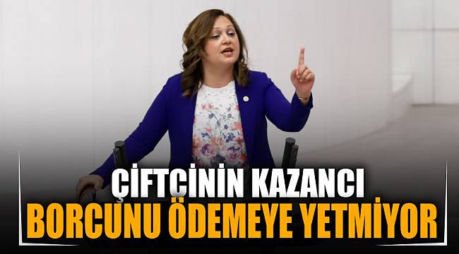 “Çiftçinin kazancı borcunu ödemeye yetmiyor”