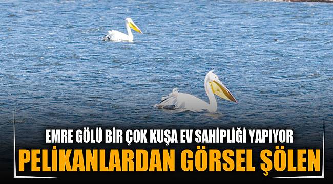EBER GÖLÜ’NDE PELİKANLARIN GÖRSEL ŞÖLENİ