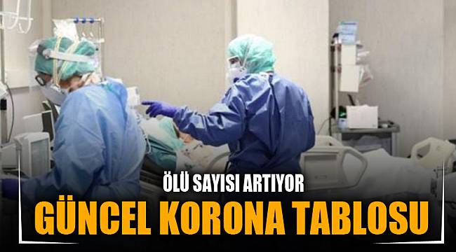 GÜNCEL KORONA TABLOSU