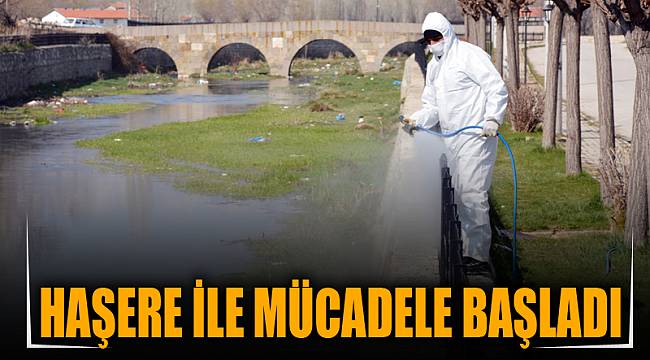 Haşere ile mücadele başladı