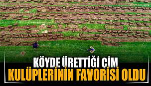 KÖYDE ÜRETTİĞİ ÇİM FUTBOL KULÜPLERİNİN FAVORİSİ OLDU