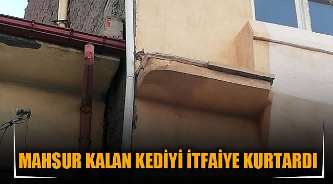 Mahsur kalan kediyi itfaiye kurtardı