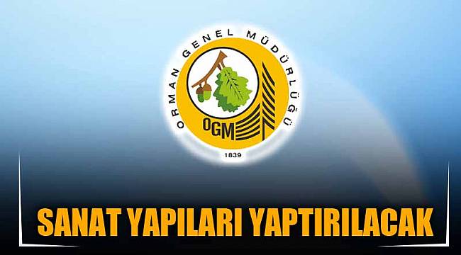 SANAT YAPILARI YAPTIRILACAK