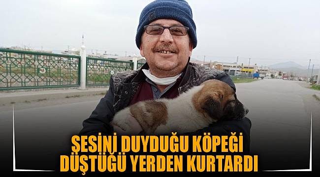 Sesini duyduğu köpeği düştüğü yerden kurtardı