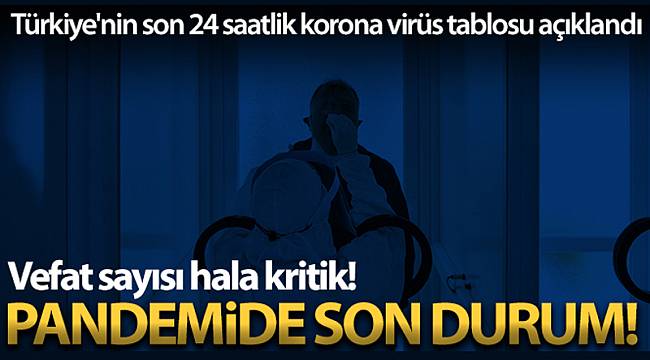 Son 24 saatte korona virüsten 341 kişi hayatını kaybetti