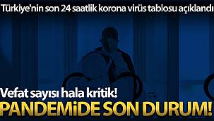 Son 24 saatte korona virüsten 341 kişi hayatını kaybetti