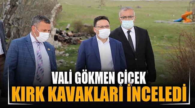 VALİ ÇİÇEK KIRK KAVAKLARI İNCELEDİ