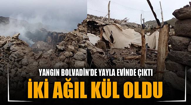 YAYLADA ÇIKAN YANGINDA 2 AĞIL KÜL OLDU