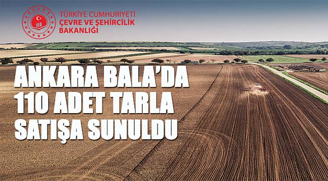 110 adet tarla satılacak
