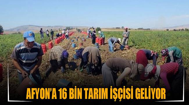 AFYON’A 16 BİN TARIM İŞÇİSİ GELİYOR