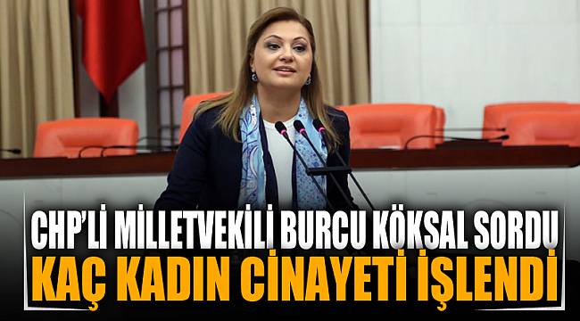 "Afyon'da bir yılda kaç kadın cinayeti işlendi?"