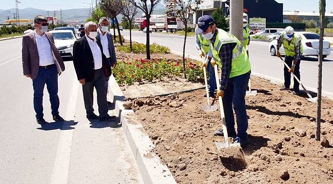 Ankara karayolu çiçek bahçesi oldu