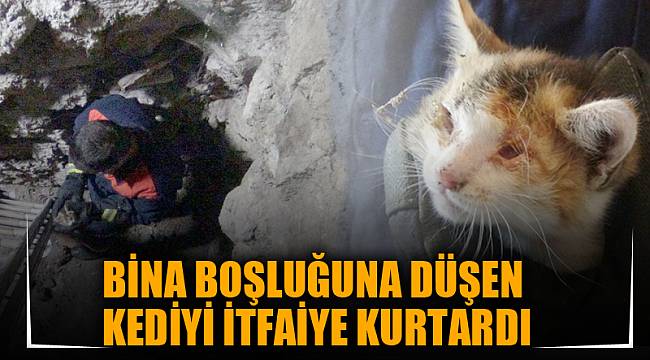 BİNA BOŞLUĞUNA DÜŞEN KEDİYİ İTFAİYE KURTARDI