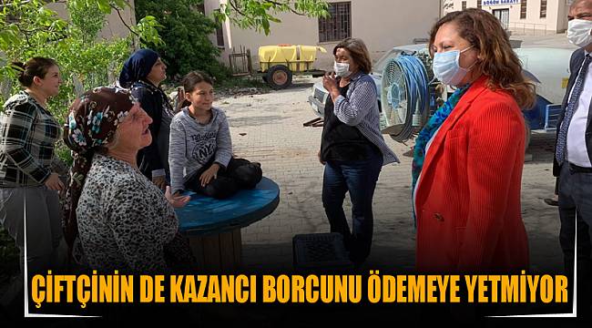 Çiftçinin de kazancı borcunu ödemeye yetmiyor