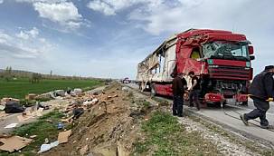 KONTROLDEN ÇIKAN TIR, TARIM ARAZİSİNE DEVRİLDİ