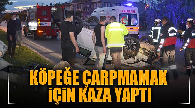 KÖPEĞE ÇARPMAMAK İÇİN KAZA YAPTI