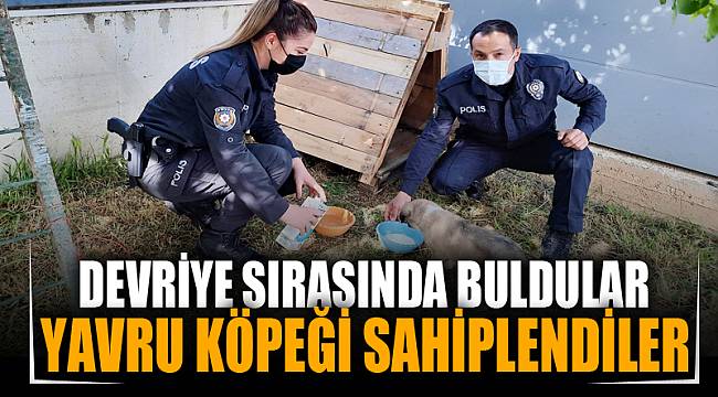Polis memurları devriye sırasında buldukları yavru köpeği sahiplendi