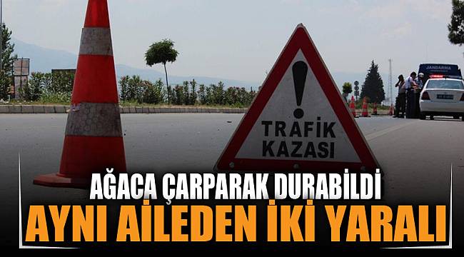 Ağaca çarpan otomobilde aynı aileden 2 kişi yaralandı